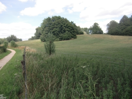 Rees : Bergswick, Landschaft am Reeser Meer